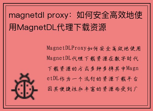 magnetdl proxy：如何安全高效地使用MagnetDL代理下载资源