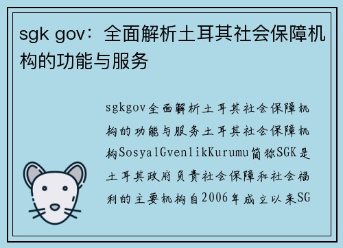 sgk gov：全面解析土耳其社会保障机构的功能与服务